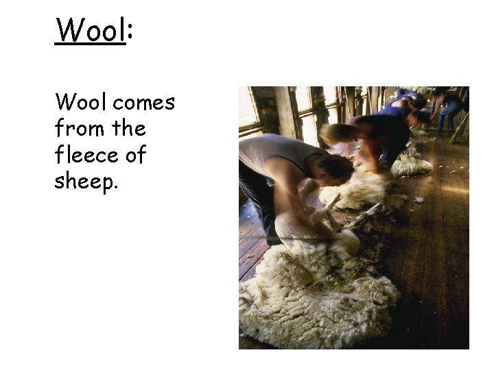 Wool: Wool comes from the fleece of sheep. 