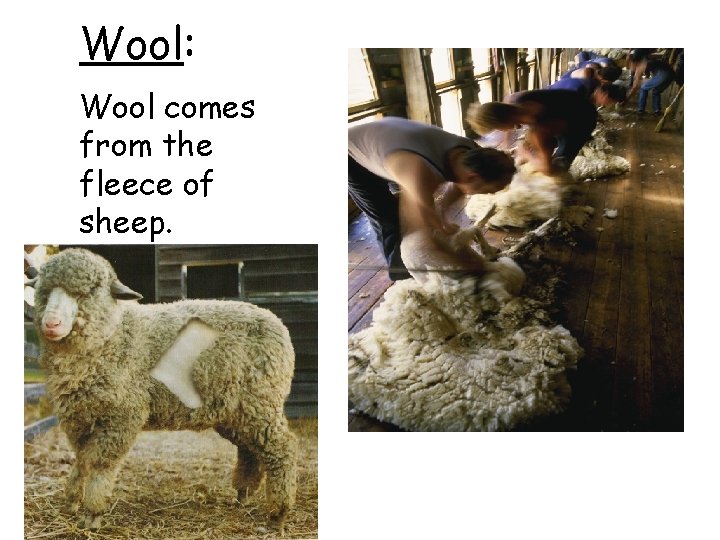 Wool: Wool comes from the fleece of sheep. 