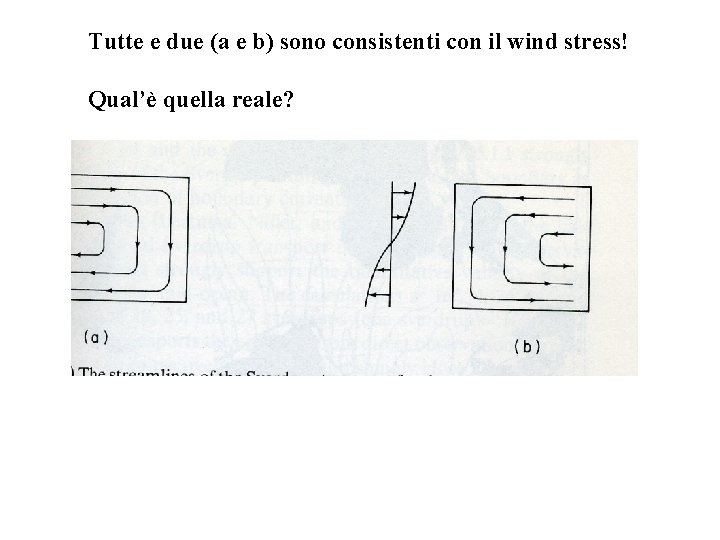 Tutte e due (a e b) sono consistenti con il wind stress! Qual’è quella