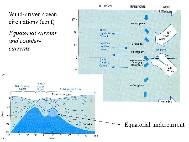 Wind-driven ocean circulations (cont) Equatorial current and countercurrents Equatorial undercurrent 