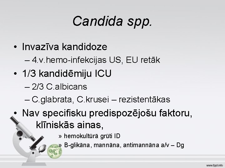 Candida spp. • Invazīva kandidoze – 4. v. hemo-infekcijas US, EU retāk • 1/3