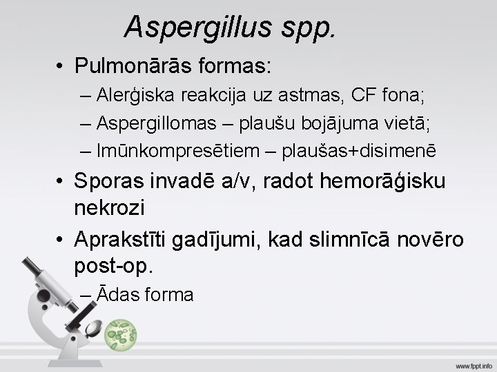 Aspergillus spp. • Pulmonārās formas: – Alerģiska reakcija uz astmas, CF fona; – Aspergillomas