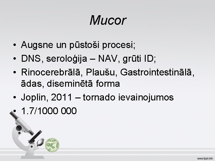 Mucor • Augsne un pūstoši procesi; • DNS, seroloģija – NAV, grūti ID; •