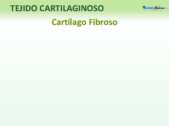 TEJIDO CARTILAGINOSO Cartílago Fibroso 