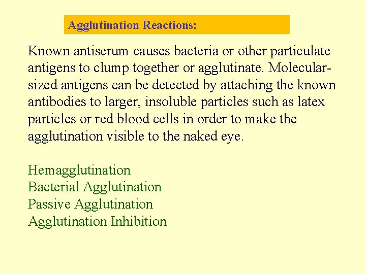 Agglutination Reactions: Known antiserum causes bacteria or other particulate antigens to clump together or