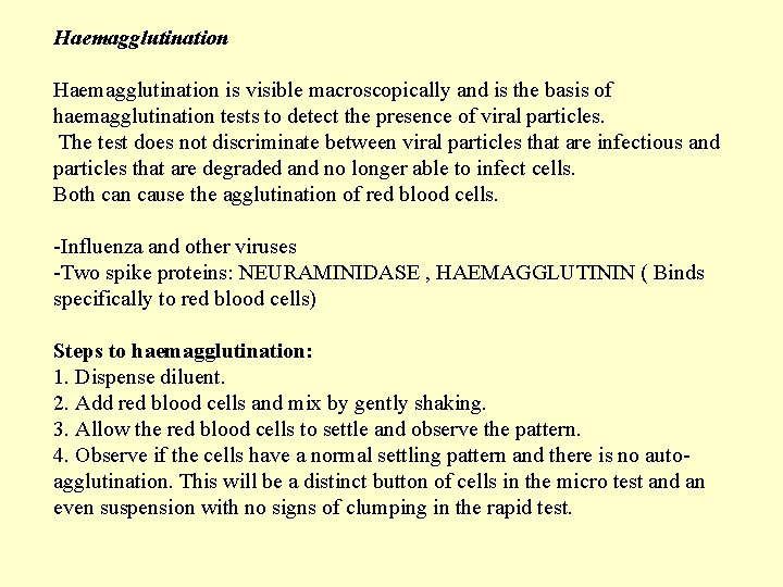 Haemagglutination is visible macroscopically and is the basis of haemagglutination tests to detect the