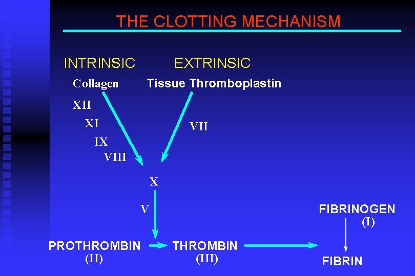 THE CLOTTING MECHANISM INTRINSIC EXTRINSIC Collagen Tissue Thromboplastin XII XI IX VIII VII X
