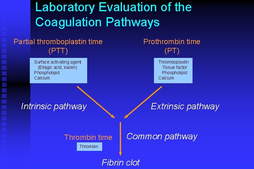 Laboratory Evaluation of the Coagulation Pathways Partial thromboplastin time (PTT) Prothrombin time (PT) Surface