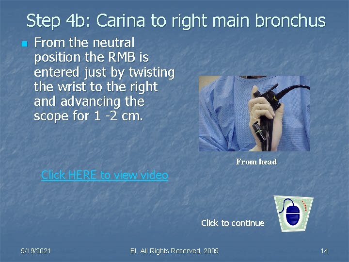 Step 4 b: Carina to right main bronchus n From the neutral position the