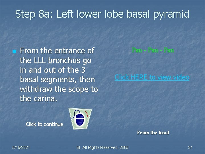 Step 8 a: Left lower lobe basal pyramid n From the entrance of the