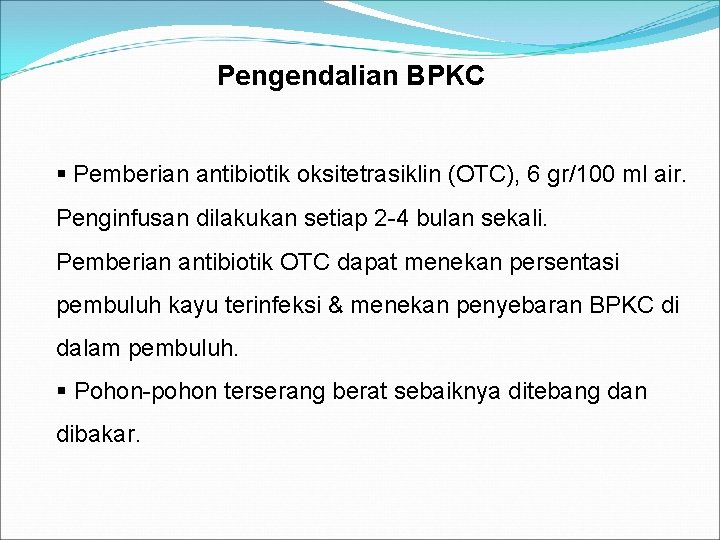 Pengendalian BPKC § Pemberian antibiotik oksitetrasiklin (OTC), 6 gr/100 ml air. Penginfusan dilakukan setiap