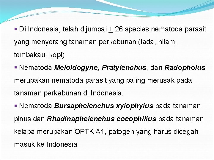 § Di Indonesia, telah dijumpai + 26 species nematoda parasit yang menyerang tanaman perkebunan