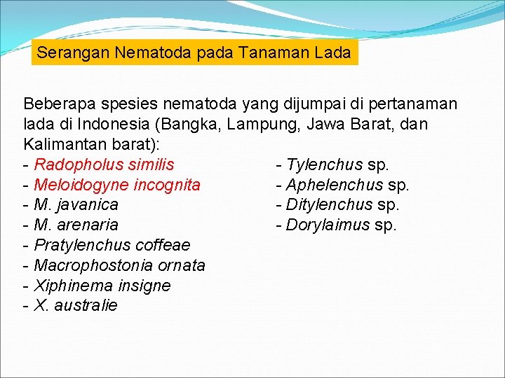 Serangan Nematoda pada Tanaman Lada Beberapa spesies nematoda yang dijumpai di pertanaman lada di