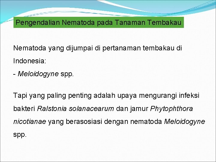 Pengendalian Nematoda pada Tanaman Tembakau Nematoda yang dijumpai di pertanaman tembakau di Indonesia: -