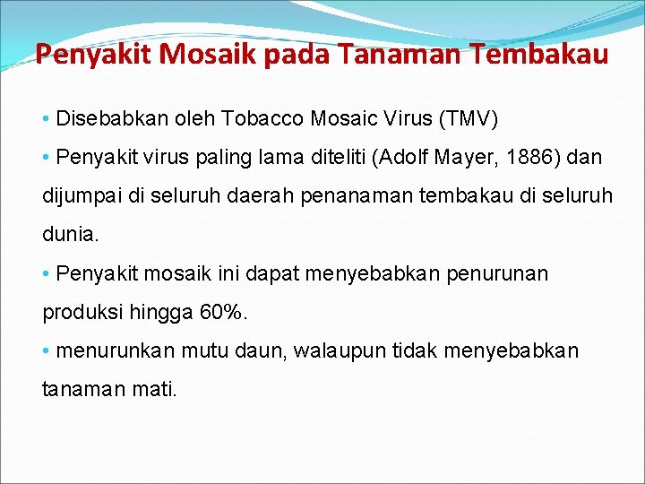 Penyakit Mosaik pada Tanaman Tembakau • Disebabkan oleh Tobacco Mosaic Virus (TMV) • Penyakit