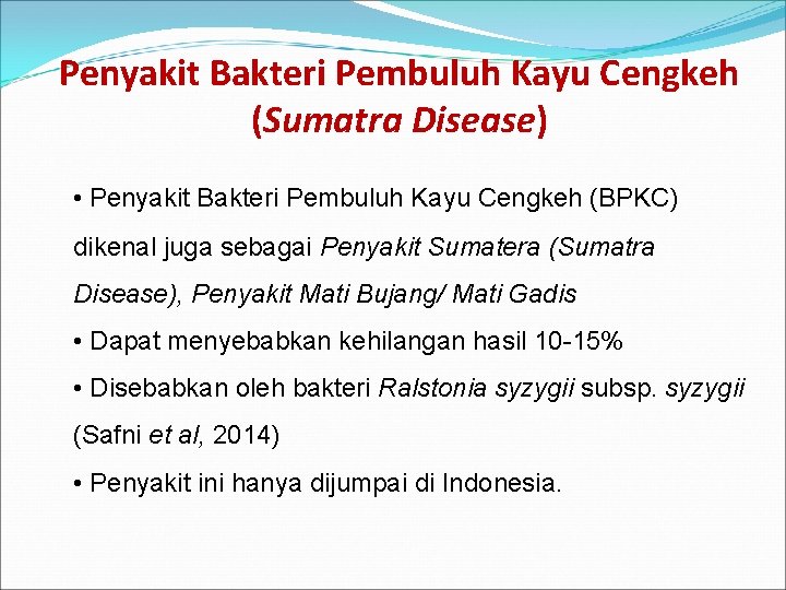 Penyakit Bakteri Pembuluh Kayu Cengkeh (Sumatra Disease) • Penyakit Bakteri Pembuluh Kayu Cengkeh (BPKC)