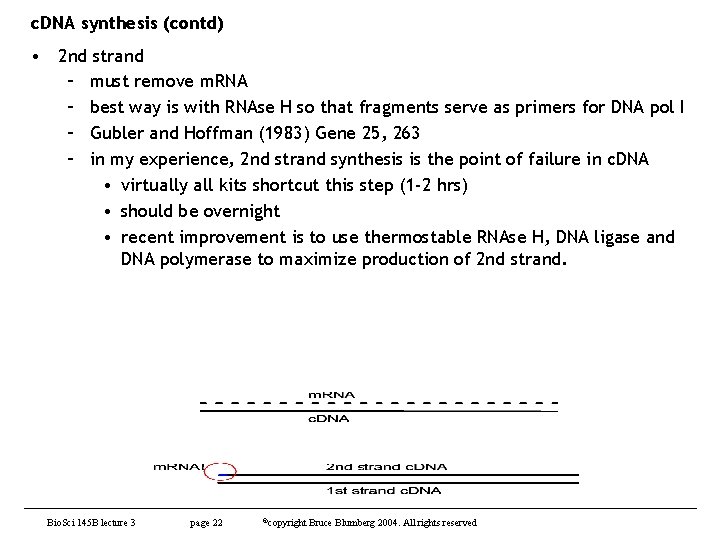 c. DNA synthesis (contd) • 2 nd strand – must remove m. RNA –
