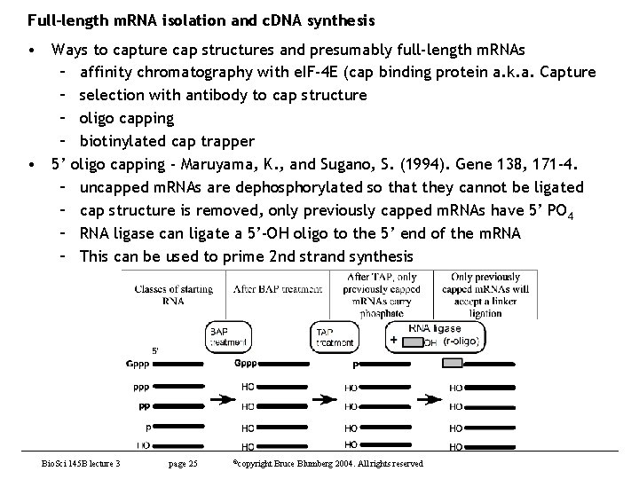 Full-length m. RNA isolation and c. DNA synthesis • Ways to capture cap structures