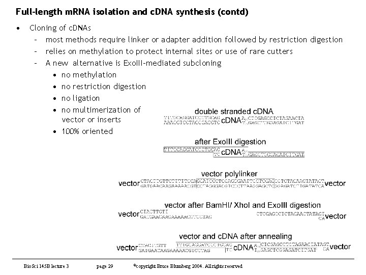 Full-length m. RNA isolation and c. DNA synthesis (contd) • Cloning of c. DNAs