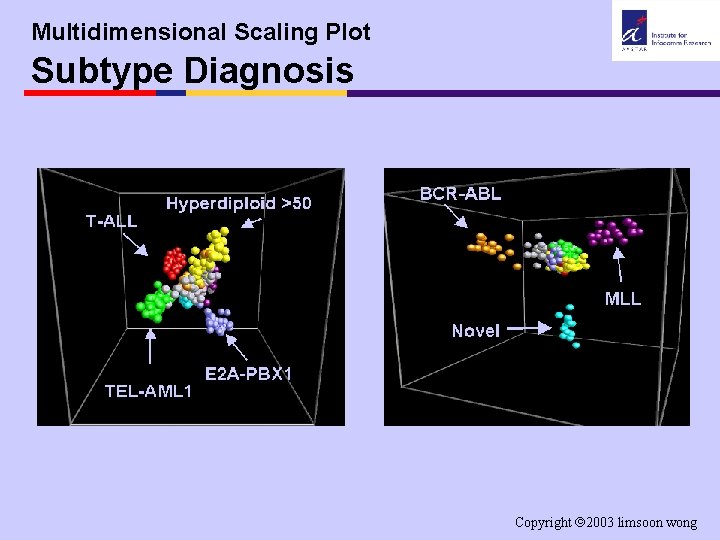 Multidimensional Scaling Plot Subtype Diagnosis Copyright 2003 limsoon wong 