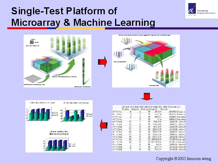 Single-Test Platform of Microarray & Machine Learning Copyright 2003 limsoon wong 
