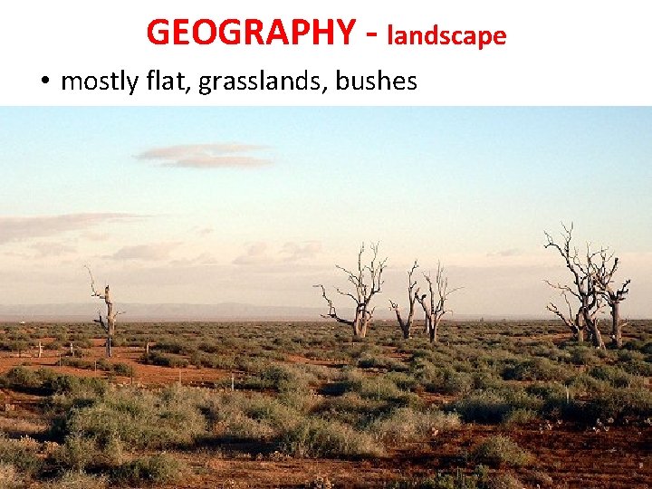 GEOGRAPHY - landscape • mostly flat, grasslands, bushes 