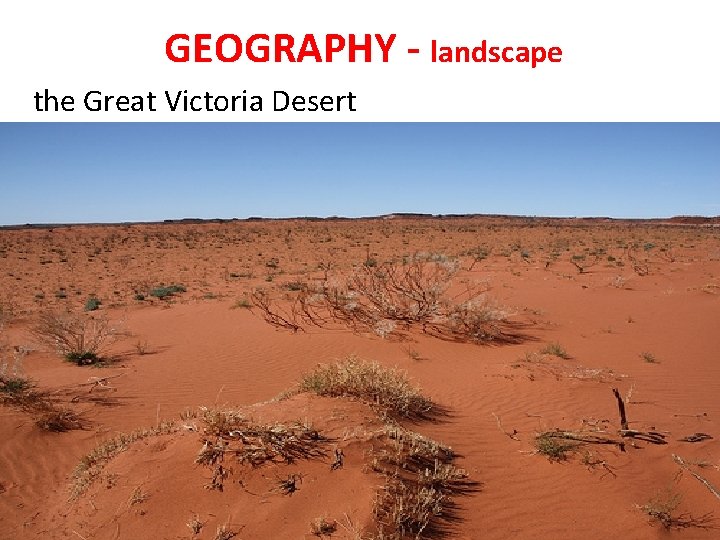 GEOGRAPHY - landscape the Great Victoria Desert 