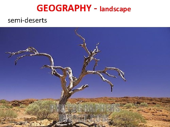 GEOGRAPHY - landscape semi-deserts 