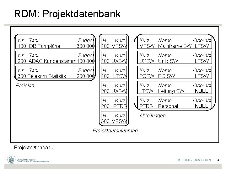 RDM: Projektdatenbank Nr Titel 100 DB Fahrpläne Budget 300. 000 Nr Kurz 100 MFSW