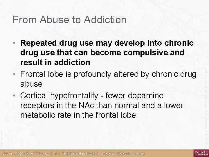 From Abuse to Addiction • Repeated drug use may develop into chronic drug use