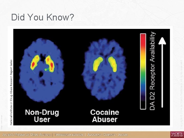 Did You Know? 