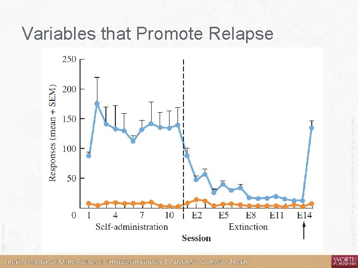 Variables that Promote Relapse 