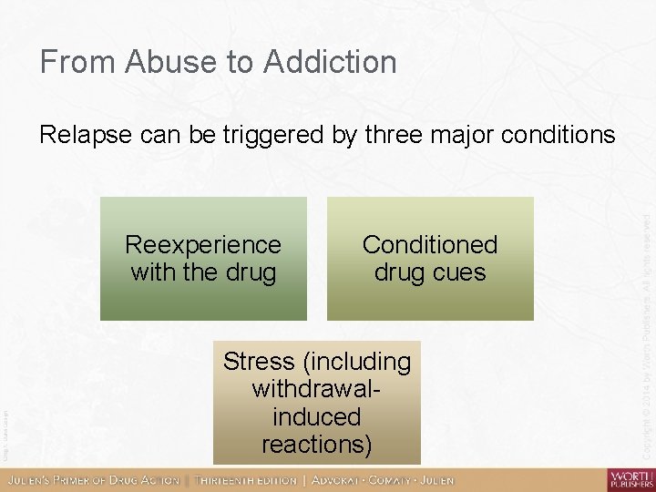 From Abuse to Addiction Relapse can be triggered by three major conditions Reexperience with