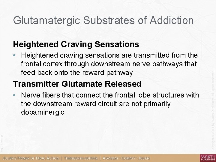 Glutamatergic Substrates of Addiction Heightened Craving Sensations • Heightened craving sensations are transmitted from