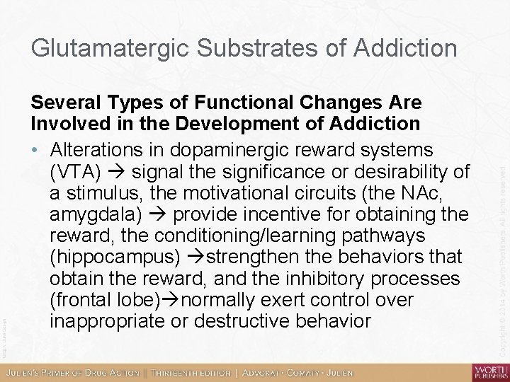 Glutamatergic Substrates of Addiction Several Types of Functional Changes Are Involved in the Development