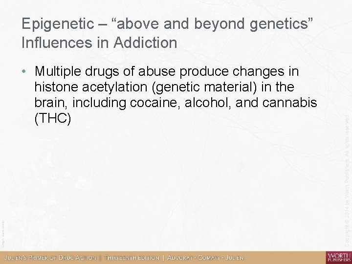 Epigenetic – “above and beyond genetics” Influences in Addiction • Multiple drugs of abuse