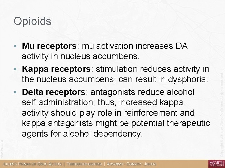 Opioids • Mu receptors: mu activation increases DA activity in nucleus accumbens. • Kappa