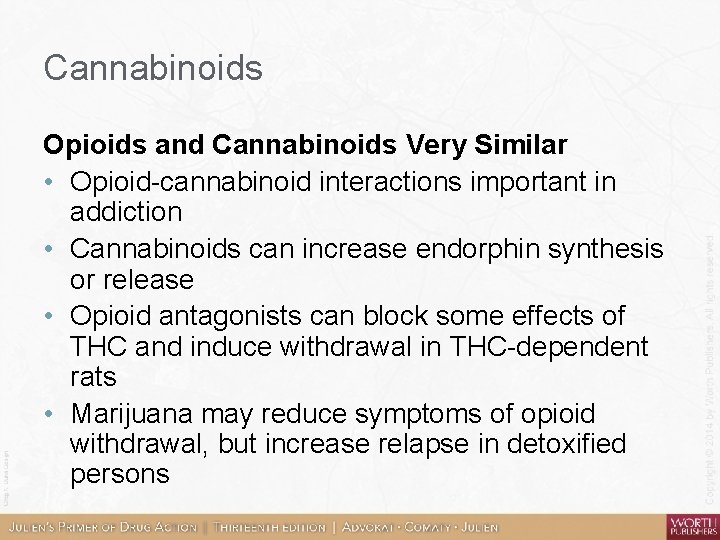 Cannabinoids Opioids and Cannabinoids Very Similar • Opioid-cannabinoid interactions important in addiction • Cannabinoids