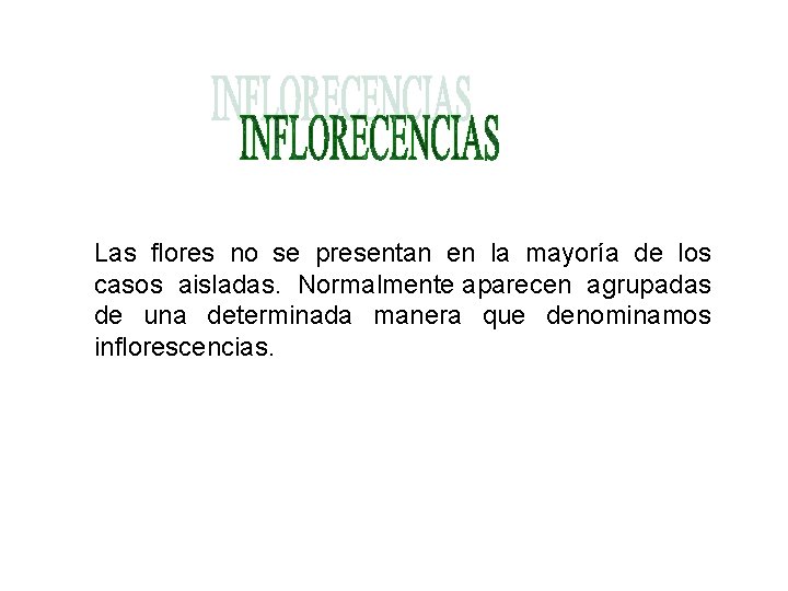 Las flores no se presentan en la mayoría de los casos aisladas. Normalmente aparecen