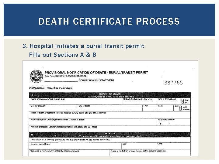 DEATH CERTIFICATE PROCESS 3. Hospital initiates a burial transit permit Fills out Sections A