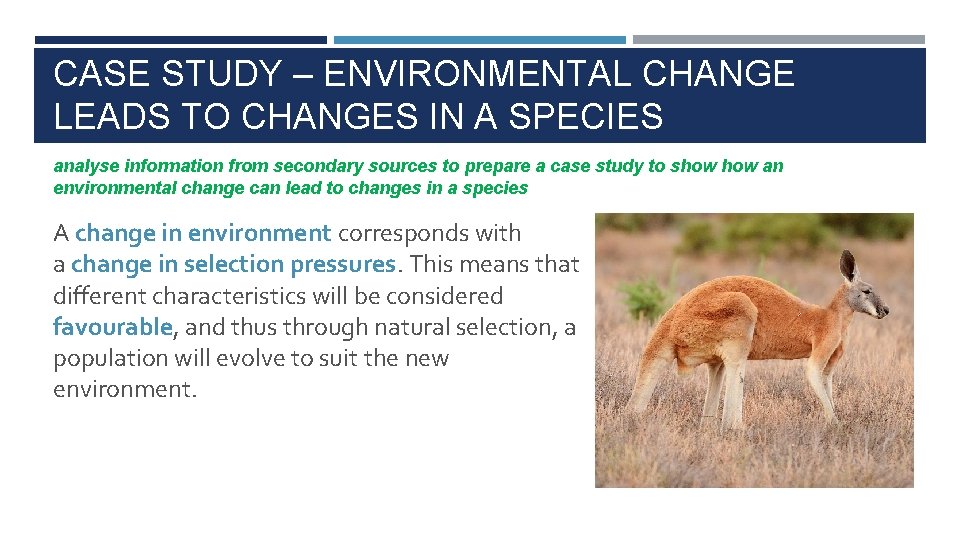 CASE STUDY – ENVIRONMENTAL CHANGE LEADS TO CHANGES IN A SPECIES analyse information from