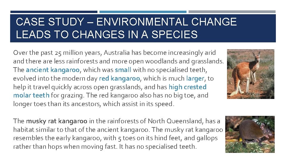 CASE STUDY – ENVIRONMENTAL CHANGE LEADS TO CHANGES IN A SPECIES Over the past