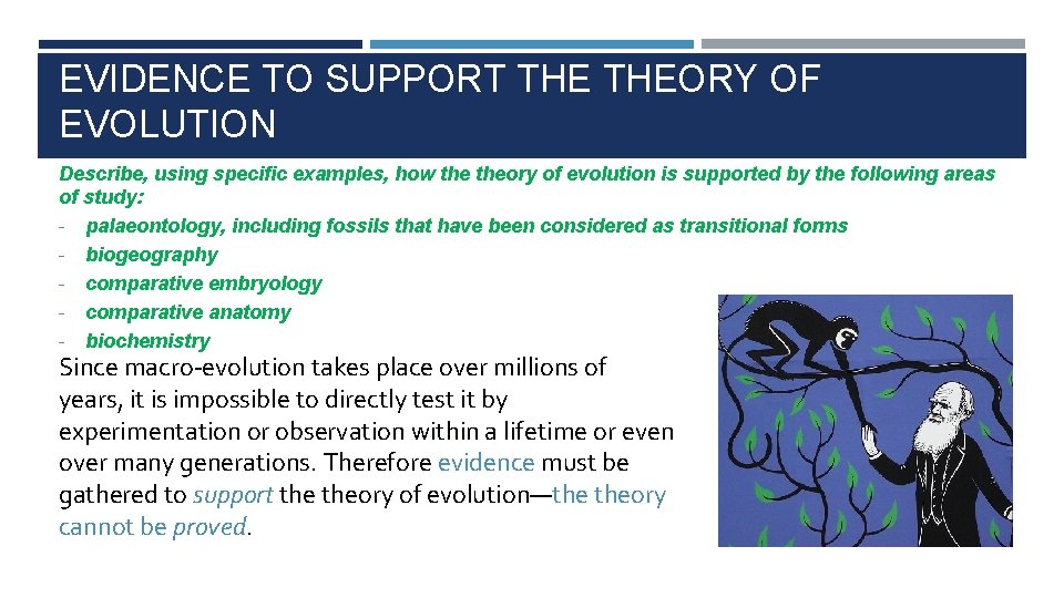EVIDENCE TO SUPPORT THEORY OF EVOLUTION Describe, using specific examples, how theory of evolution