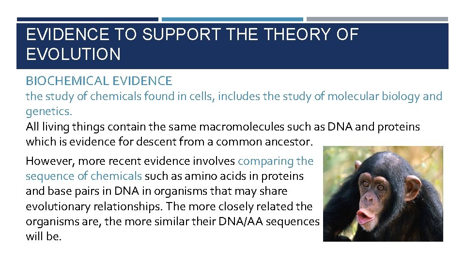 EVIDENCE TO SUPPORT THEORY OF EVOLUTION BIOCHEMICAL EVIDENCE the study of chemicals found in