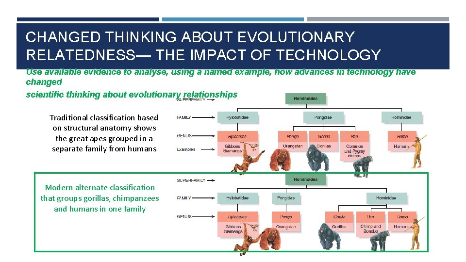 CHANGED THINKING ABOUT EVOLUTIONARY RELATEDNESS— THE IMPACT OF TECHNOLOGY Use available evidence to analyse,