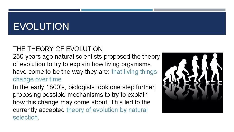 EVOLUTION THEORY OF EVOLUTION 250 years ago natural scientists proposed theory of evolution to