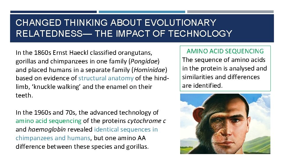 CHANGED THINKING ABOUT EVOLUTIONARY RELATEDNESS— THE IMPACT OF TECHNOLOGY In the 1860 s Ernst