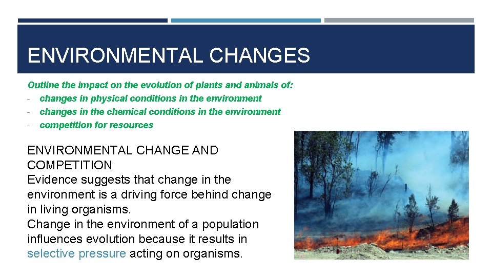 ENVIRONMENTAL CHANGES Outline the impact on the evolution of plants and animals of: -