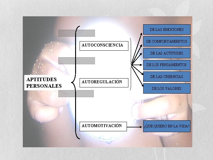 DE LAS EMOCIONES AUTOCONSCIENCIA DE COMPORTAMIENTOS DE LAS ACTITUDES DE LOS PENSAMIENTOS APTITUDES PERSONALES