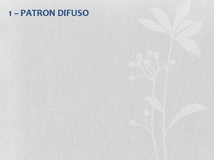 1 – PATRON DIFUSO 